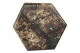 Stony Chondrite Cabochon ( g) - Meteorite #238215-1